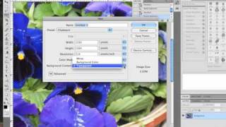 Creating brushes in Photoshop CS4