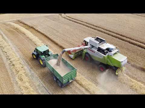 Claas Lexion 650 / Getreideernte Grain Harvest 2020 / Lexion 540 Mähdrescher / DJI Mavic Mini Drohne