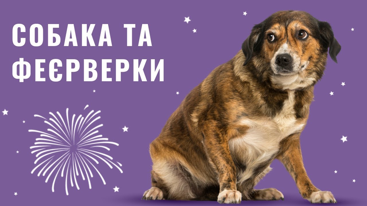 YouTube video preview