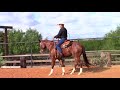 Teaching A Horse To Rollback