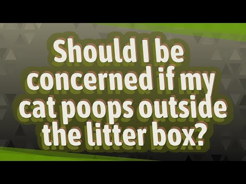 Should I be concerned if my cat poops outside the litter box?