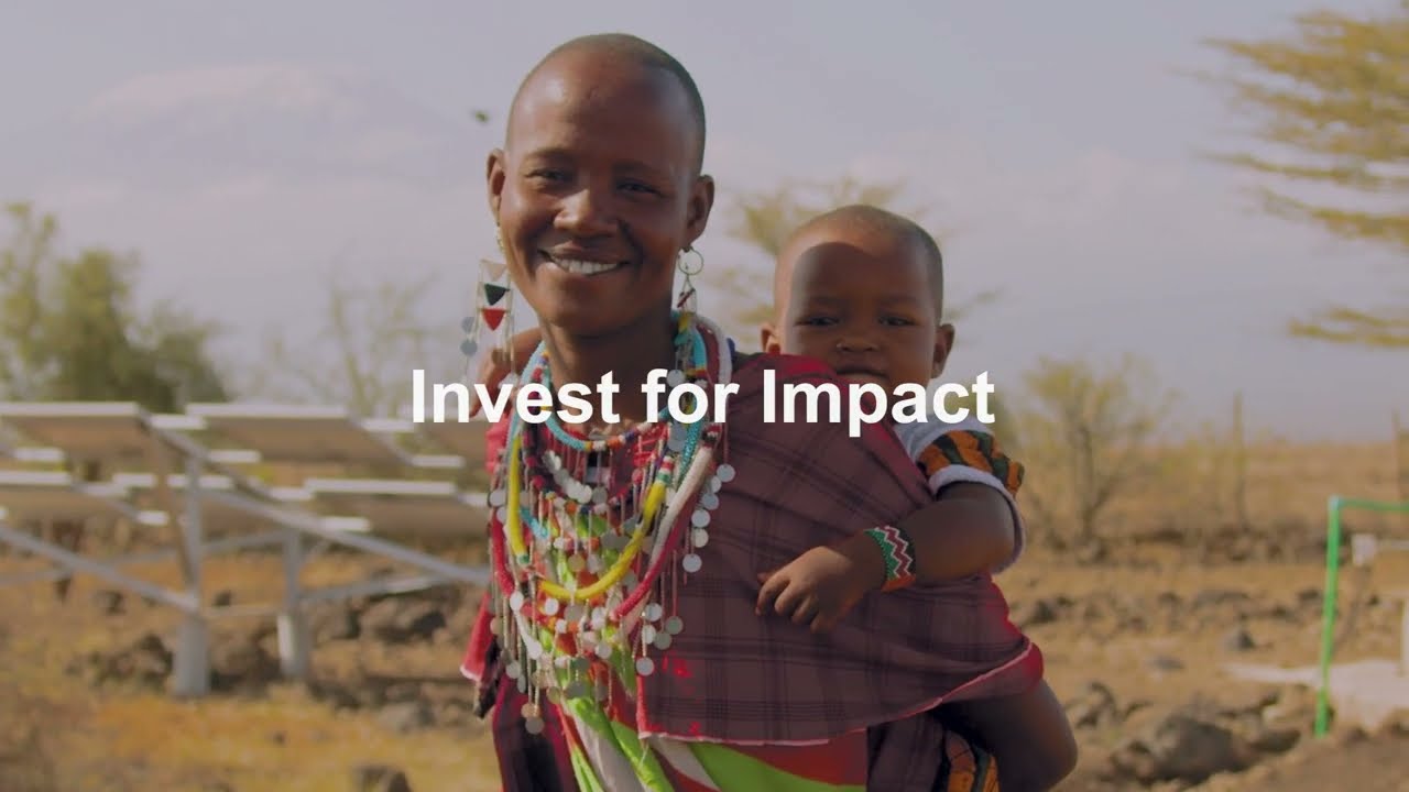 SDGs for Africa Investment Mobilization Summit