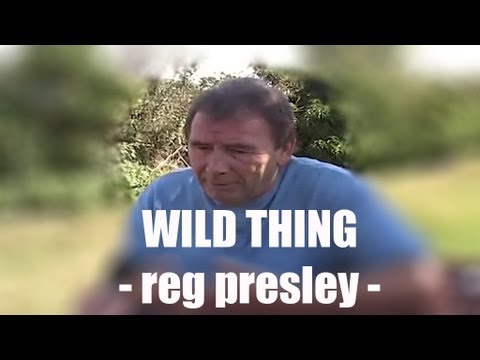WILD THING. An Interview with Reg Presley
