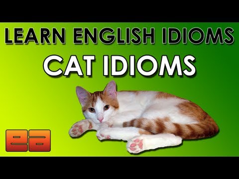 Color Idioms 1 Learn English Idioms EnglishAnyone com