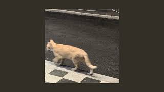 Download lagu Rihanna - You Da One~sped up mp3 Download lagu Rihanna - You Da One~sped up mp3