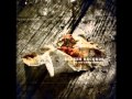 Broken Records - I Used To Dream 