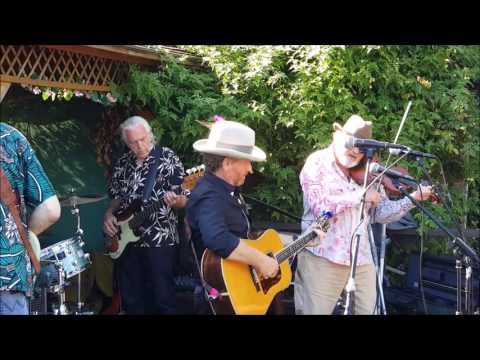 Tex Pistols UK - Louisiana Blues (Jo El Sonnier)