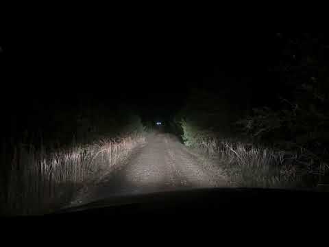 Night Test, Brightness, and Review of Sylvania Silverstar Ultra Headlights