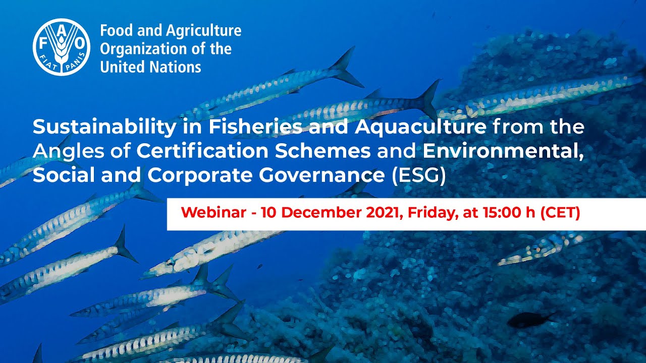 Fisheries & aquaculture sustainability: Certification, Environmental, Social & Corporate Governance