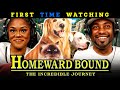 Homeward Bound The Incredible Journey 1993 First Time Watching Movie Reaction Asia And BJ