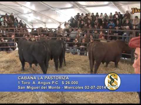 Cabaña La Pastoriza - Jauregui Lorda S.R.L. - San Miguel del Monte - 02/07/2014