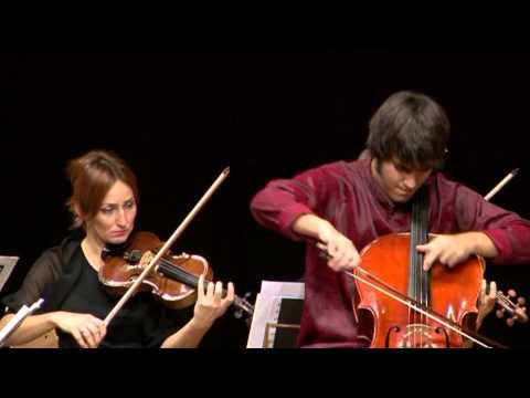 Vid Veljak - Carl Stamitz: Konzert für Violoncello und Orchester in G Dur - 1. Satz