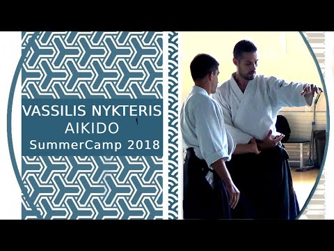 AIKIDO SummerCamp 2018 w/ Vassilis Nykteris Part 1