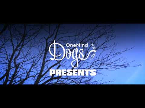 OneMind Dogs presents: This thing called November