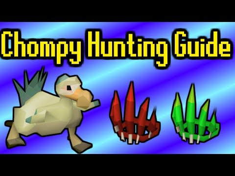 In-Depth Chompy Hunting Guide (150+ An Hour) - OSRS
