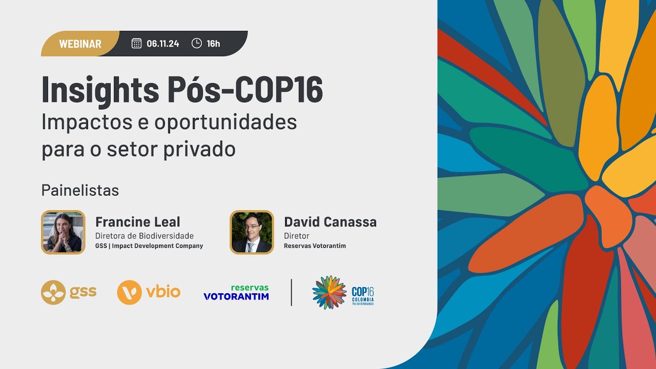Insights Pós-COP16: impactos e oportunidades para o setor privado.