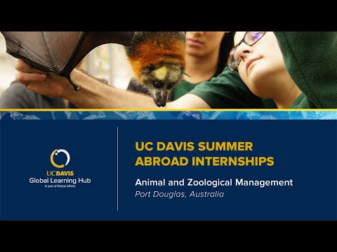 Global Learning Hub - Summer Internships in Australia