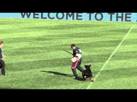 WUSV 2013 Fin 1 Tanja Koskinen - Protection