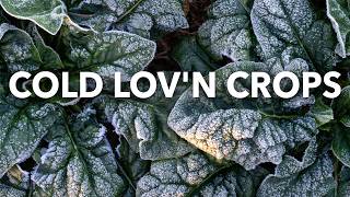 Crops That are Down For a Little Frost