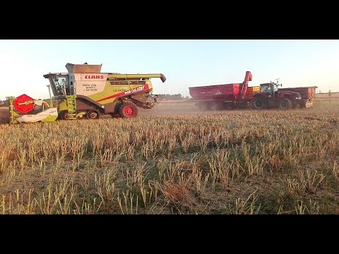 ŽNĚ 2019 CLAAS LEXION 770 /AgroSlužby Ležák/ Kladrubská a.s.