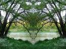 Brian Eno - How Many Worlds - Time Lapse - Four Seasons