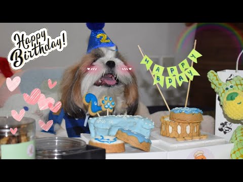 Celebrating Coco Special Day🐾| Cake Treats And Lots Of Fun| Coco Turns 2🥳 19.09.2025