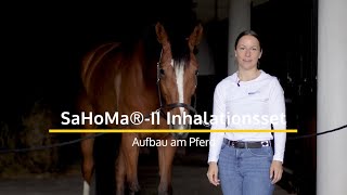 Aufbau des SaHoMa®-II Inhalationssets am Pferd | NEBU-TEC