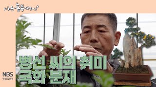 [나는농부다 298회] 병선 씨의 취미 국화 분재