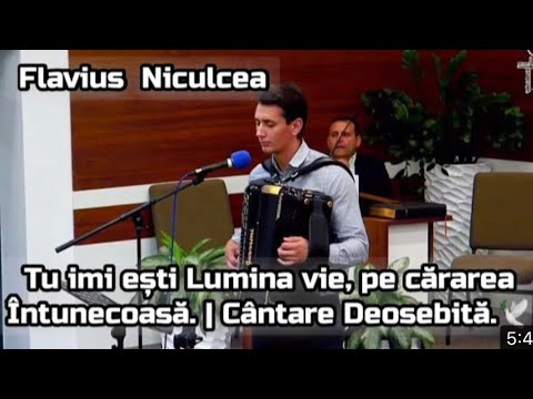 Tu îmi ești lumina vie, •flavius Niculcea