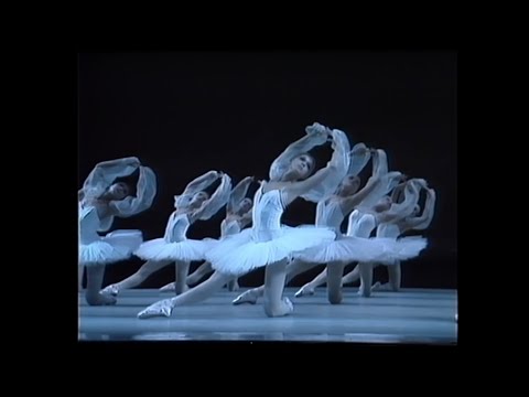 La Bayadère, Kingdom of the Shades - Mariinsky (Kirov) Ballet (O. Chenchikova & K. Zaklinsky)