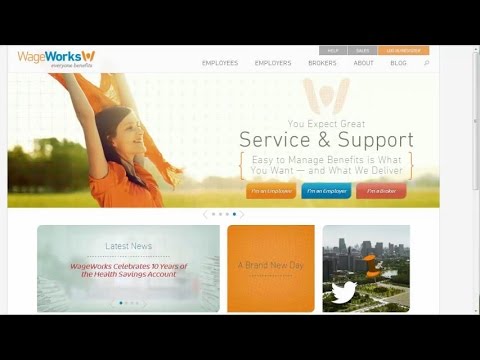 WageWorks video/presentation/materials