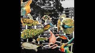 Fire! Orchestra - Ritual, Part 5