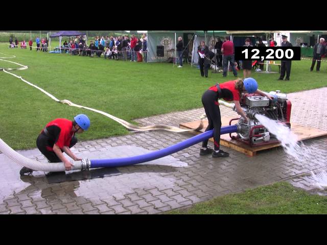 Borovice, 18. 05. 2013