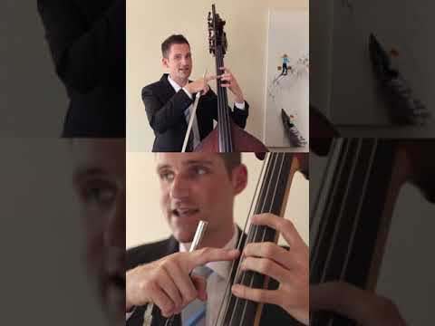 Left hand basics on the double bass (upright bass)