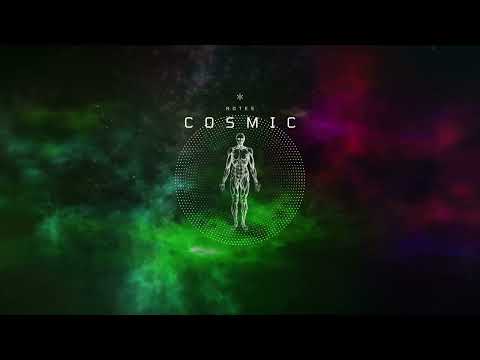 AN21 & Maunt - No Tomorrow