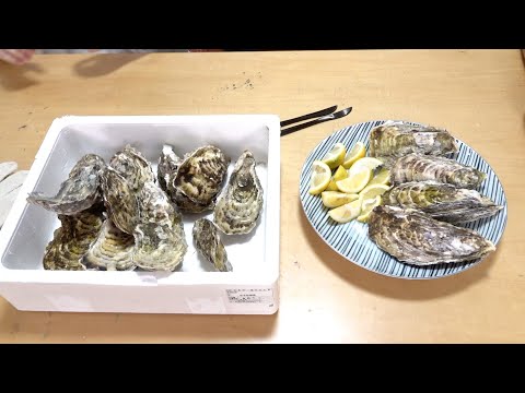 園芸 マリタイムメルテンシア、野菜カキ、野菜カキ、海赤根