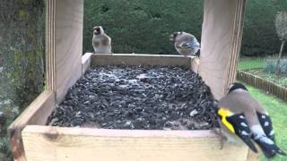 Les oiseaux de mon jardin