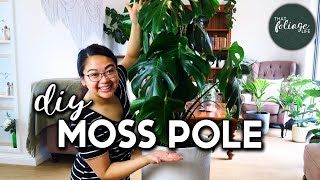 Repotting A HUGE Monstera Deliciosa (& making a moss pole)
