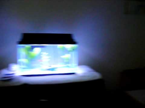 Luca and Noah laughing