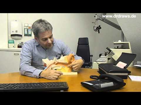 Ohren richtig reinigen - HNO Ratgeber Dr. Draws