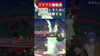 絶対道ずれするぽよ【スマブラSP】#vtuber #スマブラsp #カービィ