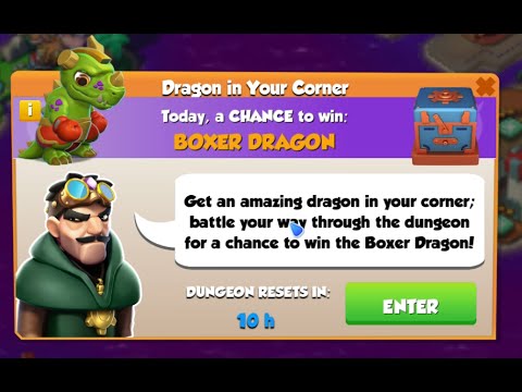 dml_boxer_dungeondragon.mp4