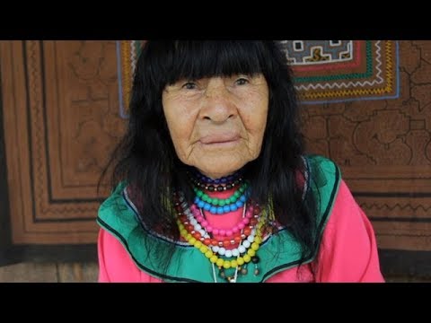 download lagu mp3 mp4 Shipibo Healers, download lagu Shipibo Healers gratis, unduh video klip Shipibo Healers