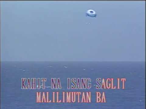 Alaala Ng Lumipas by Danilo Santos - Karaoke