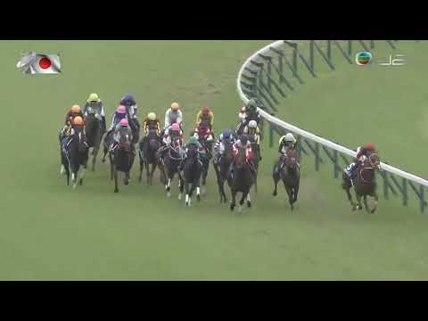 日本安田紀念賽 Yasuda Kinen 一級賽 G1 1600m 2022-06-05 前人足跡 Songline 東京競馬場 Tokyo Racecourse