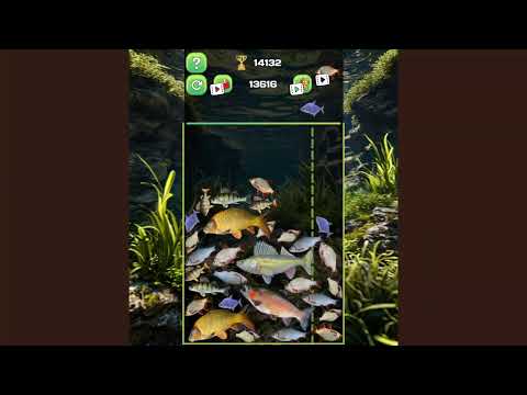 Connect fish - Reach the Pike video thumbnail