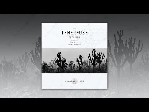 Tenerfuse - Tracking (Original Mix) [Another Life Music]