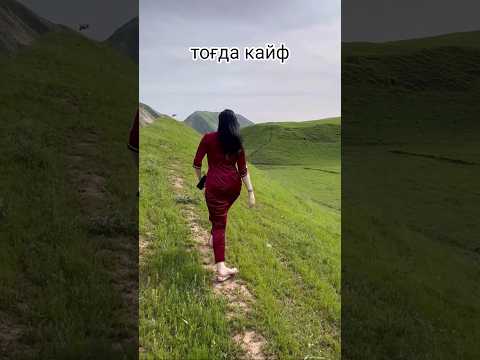 тоғда кайф шарманда запал хиёнат zapal xiyonat sharmanda #xiyonat #zapal #uzbek #tezkor #tezkunda