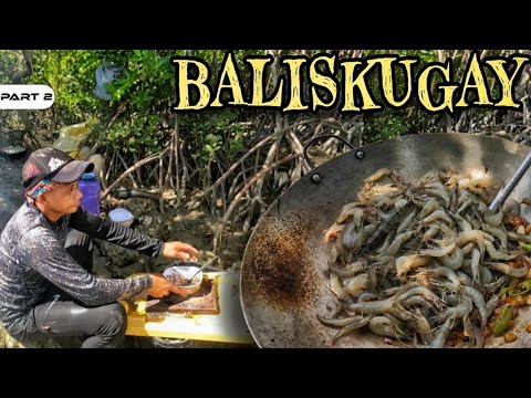 P2 - Nangapa Kami ng Hipon - EP1641