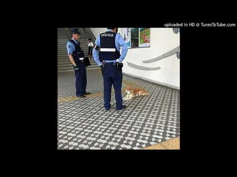 Shine DK9 - Mariwan (Ft. El Virtual)